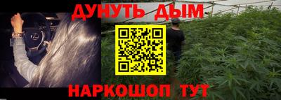 сатива Азнакаево