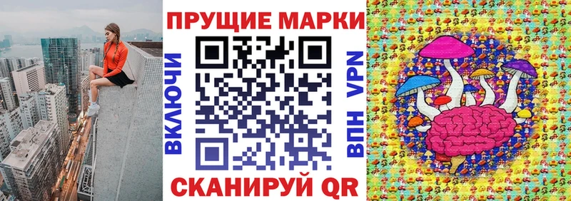 блэк спрут вход  что такое наркотик  shop клад  Марки N-bome 1,5мг  Чита 