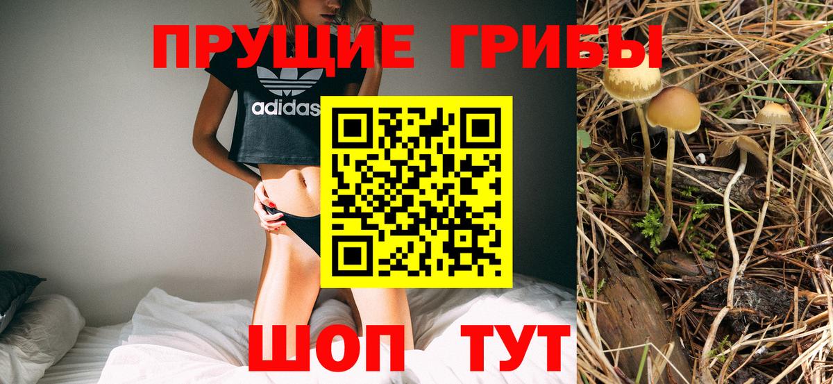 Псилоцибиновые грибы прущие грибы  сколько стоит  Чита 