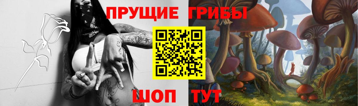 Чита  Галлюциногенные грибы мицелий  Галлюциногенные грибы мицелий  Вход с VPN 