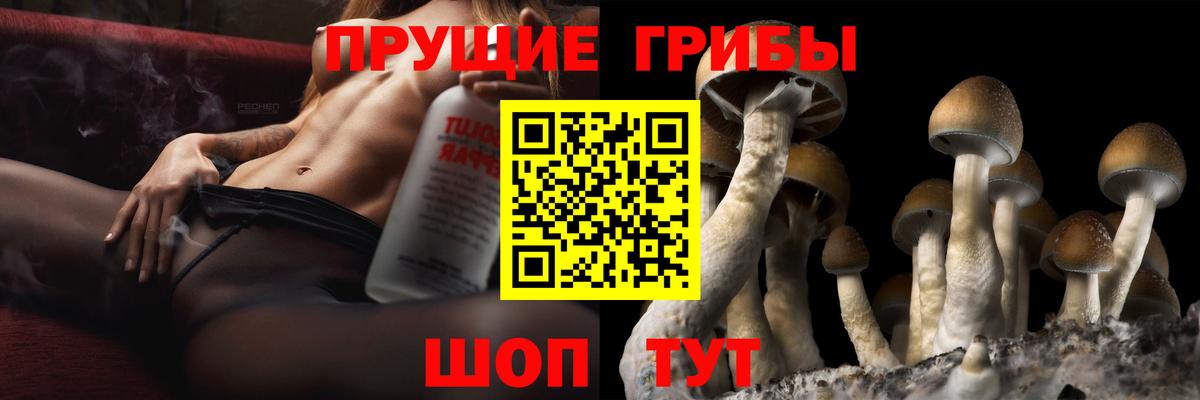 Псилоцибиновые грибы прущие грибы Чита